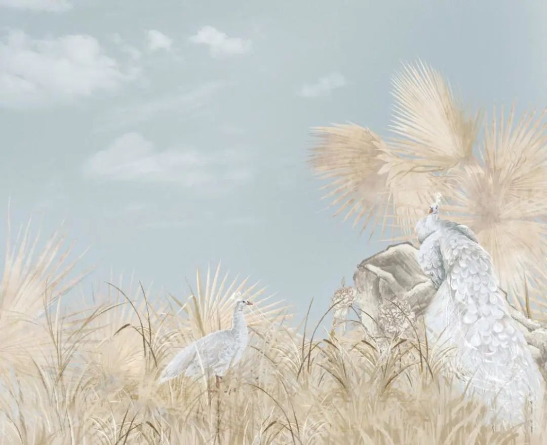 1682414237163015.jpg 12.jpg