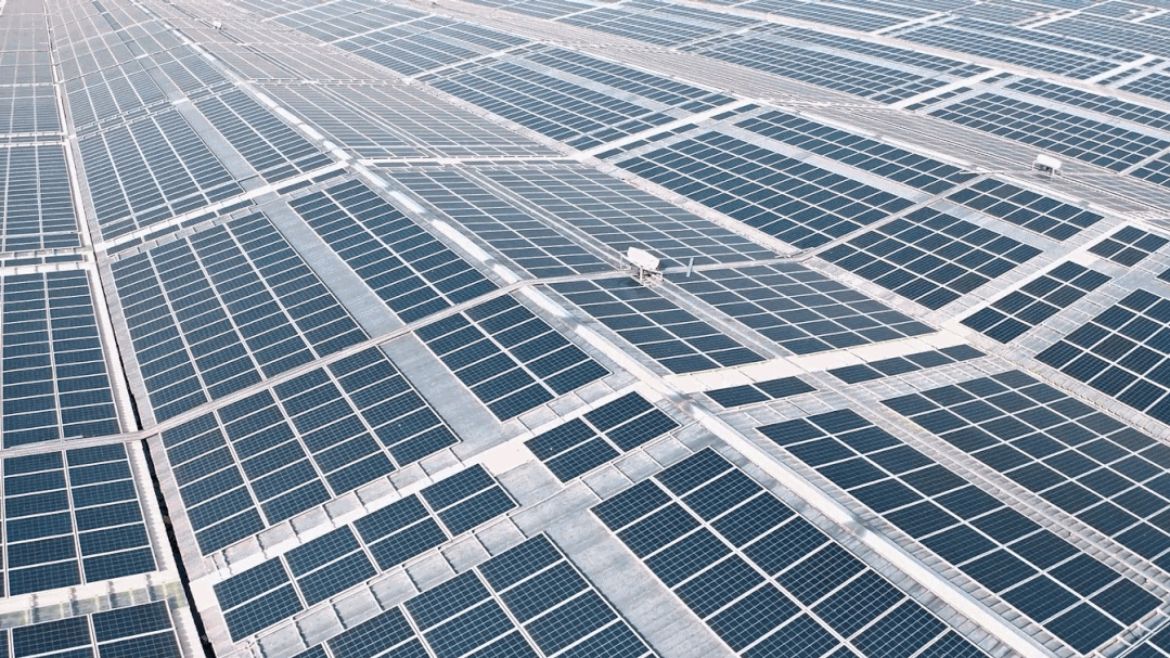 1683709547820465.png 圖片 3.png