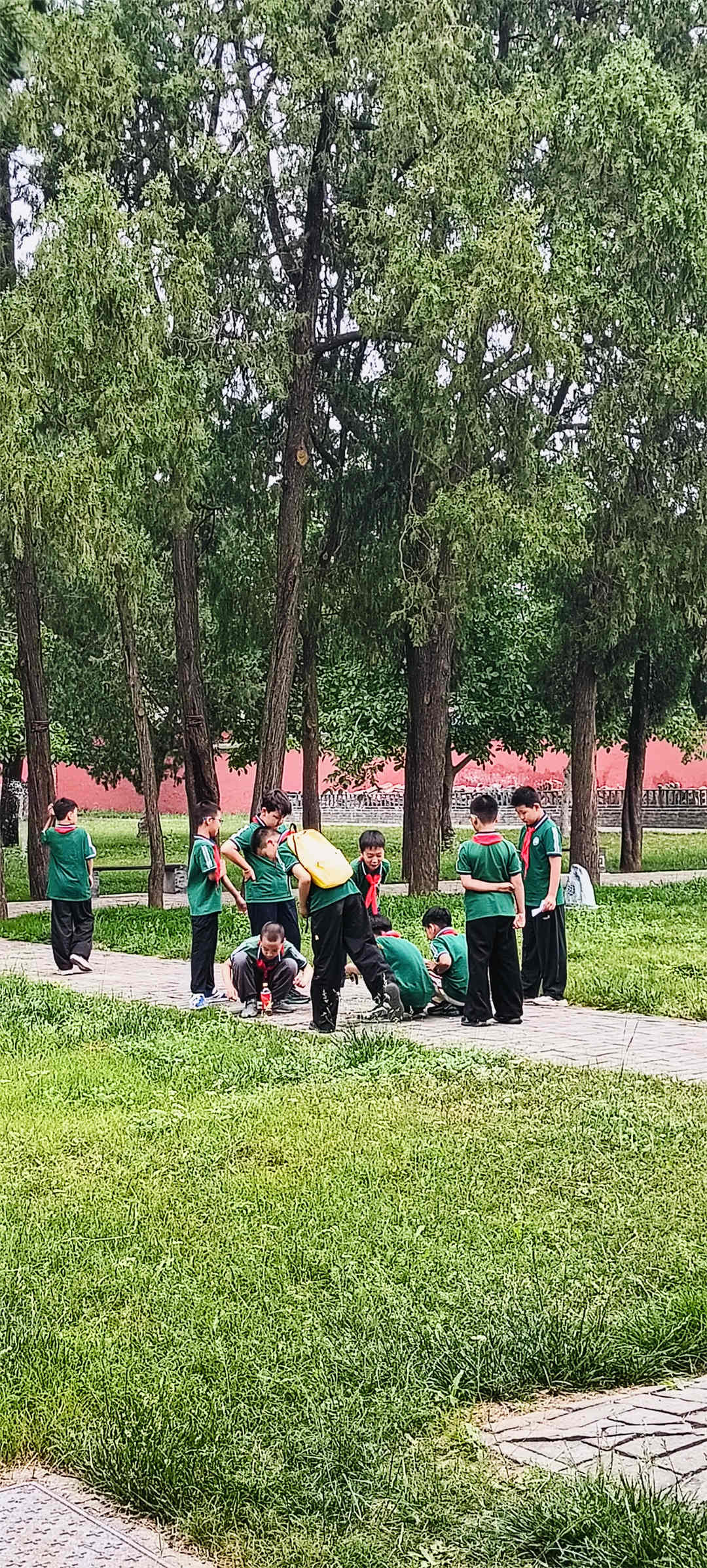 1748914414355286.jpg 石家莊市盛世長安小學12.jpg